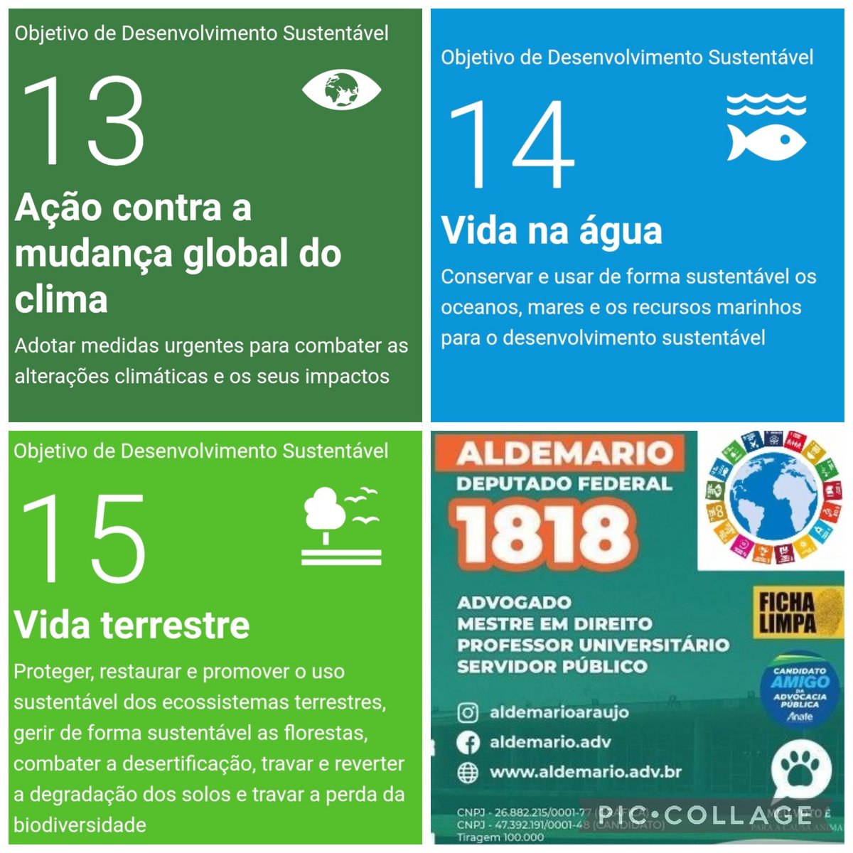 aldemarioac's tweet photo. Visite:
https://t.co/BCyElzlZRs https://t.co/9IE6HQP1kg