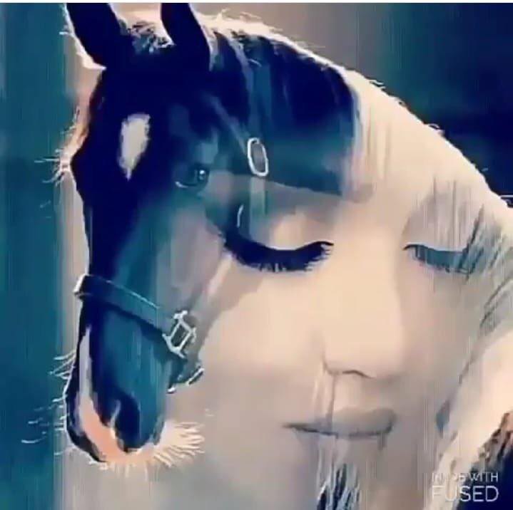 أنا مُجــرّد نِصـف قَلــب .. ونِصـف روح
نِصفينــي الباقــــي .. أشــواق وعَـتَــب

قالوا لي إكتِب شَطر عن أقسى الجّروح
كِتَبت: أحِـبّــــــه .. بَس ربّـــي ما كِـتَـب
✍🏻ابو عمر بفخامة شاعر 👑
#قصائد_شعر_عتاب_غزل #شعر_غزل #شعر_حب #شعر #قصائد #شطر #بوح_المشاعر #بوح_آخر_الليل