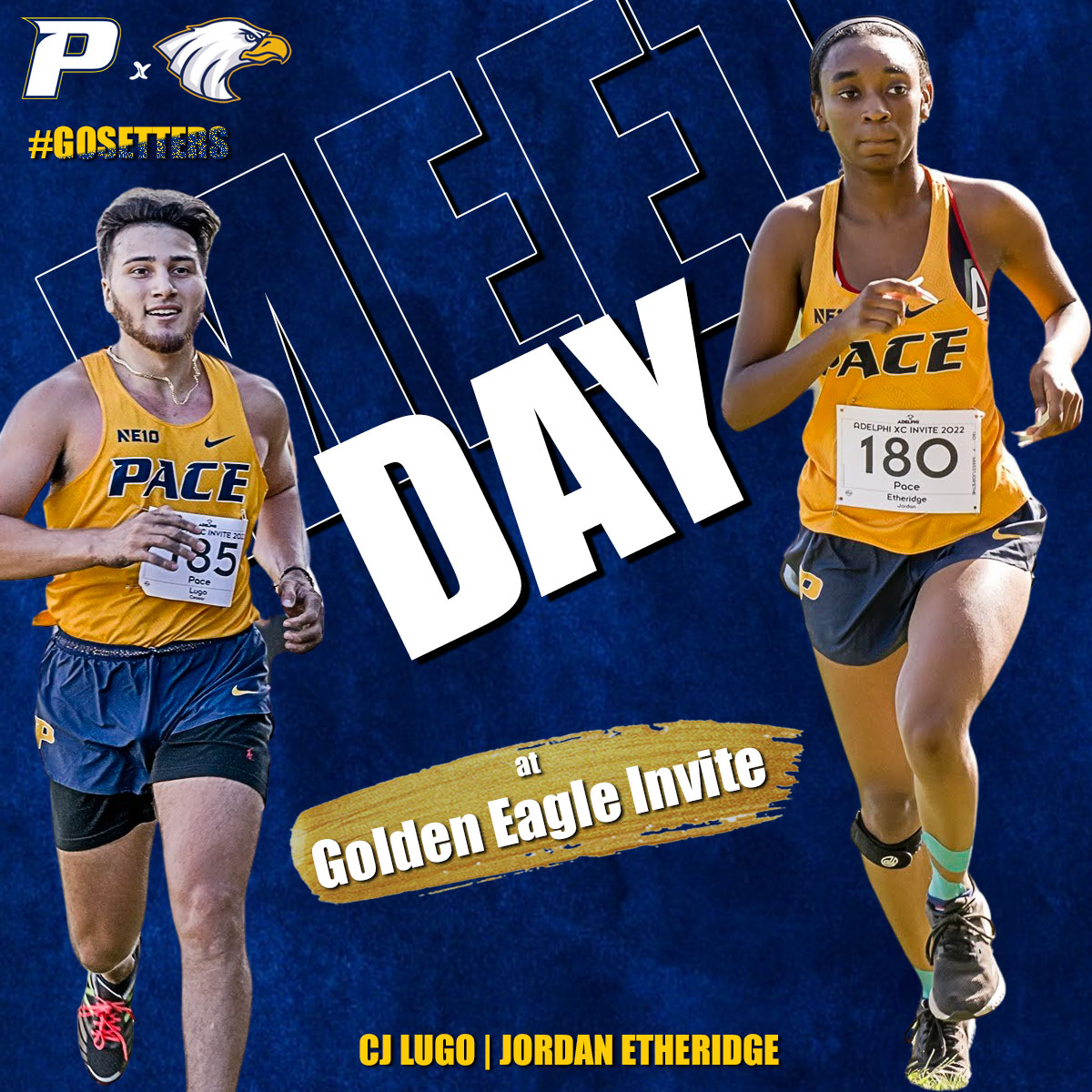📍 Bethpage State Park

Back to Long Island for <a href="/pacesettersxc/">PacesettersXC</a> this afternoon at the Golden Eagle Invitational!