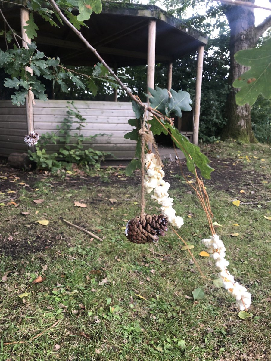 StPeterslovesSc's tweet photo. Really impressed with the ⁦@StPetersYear1⁩ forest school group. Great perseverance and concentration to make bird feeders today. https://t.co/F7DUw6kLYr