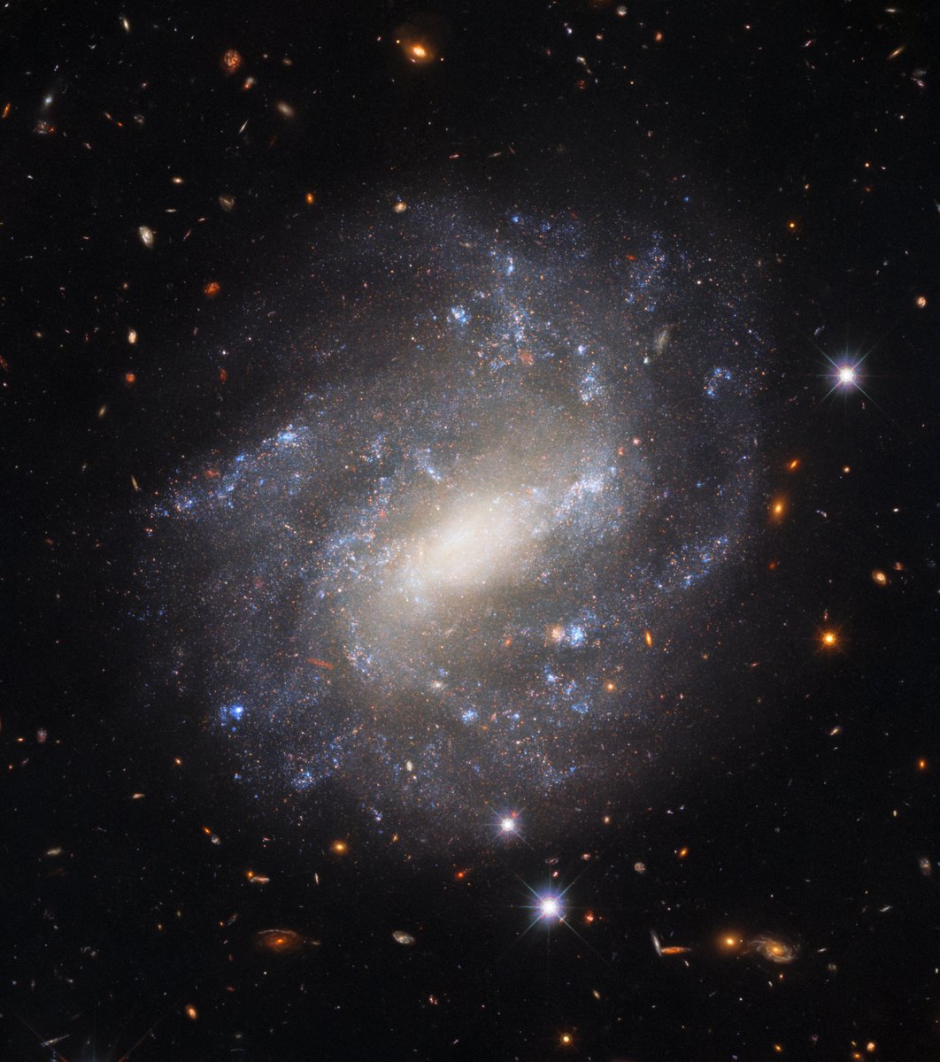 Hello out there, UGC 9391! 👋

This gorgeous galaxy resides a whopping 130 million light-years away in the constellation Draco.

Read more: go.nasa.gov/3rpqm1m