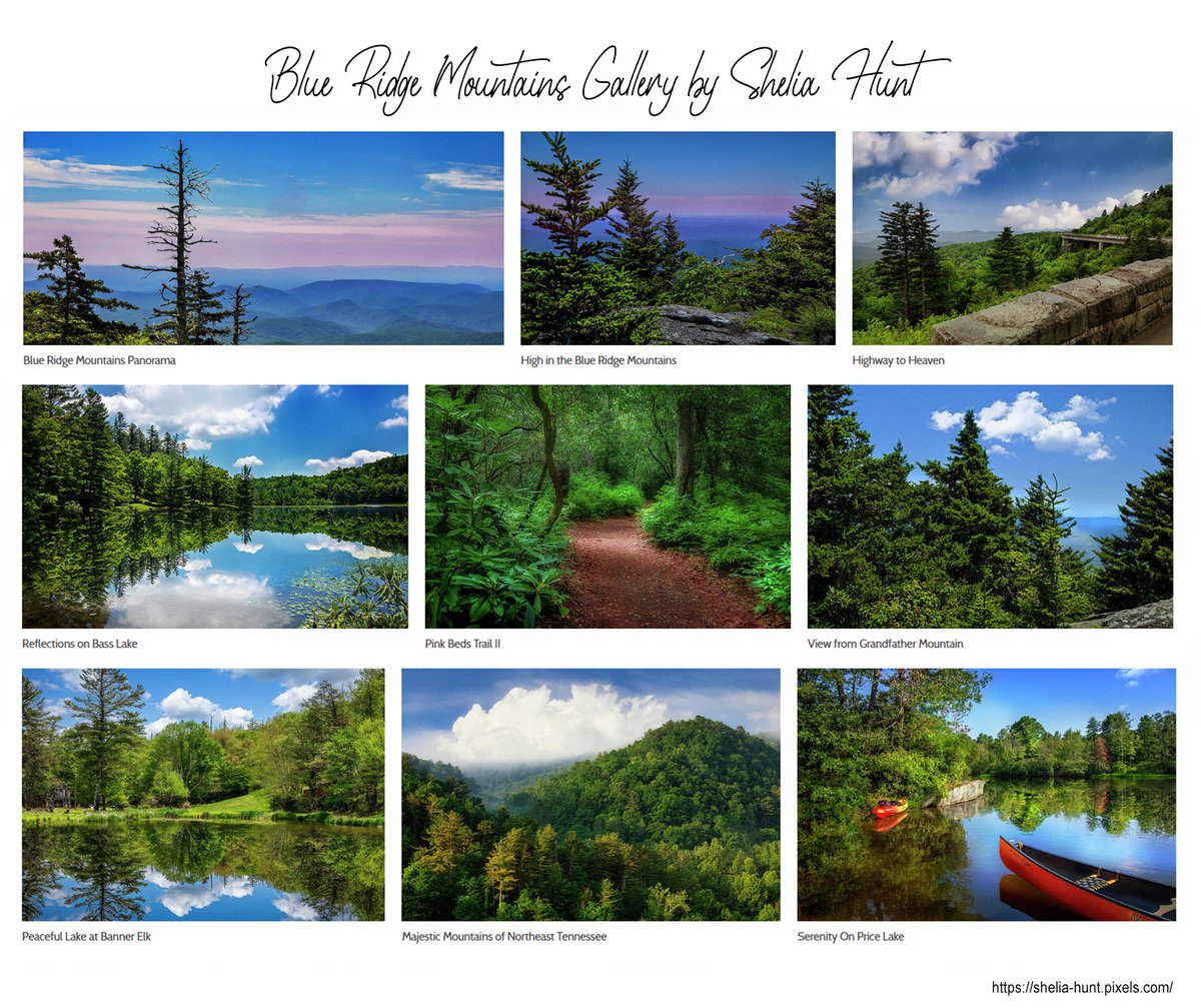 shelia_hunt's tweet photo. Happy Friday and much love to all!
See our Blue Ridge Mountains Gallery at https://t.co/bHIHKPwymh
.
.
#blueridgemountains #blueridgeparkway #blueridges #northcarolina #blueridgemountains #appalachianmountains #mountain #BuyIntoArt #FallIntoArt #homedecor #interiordecor https://t.co/JLppjCyrMg