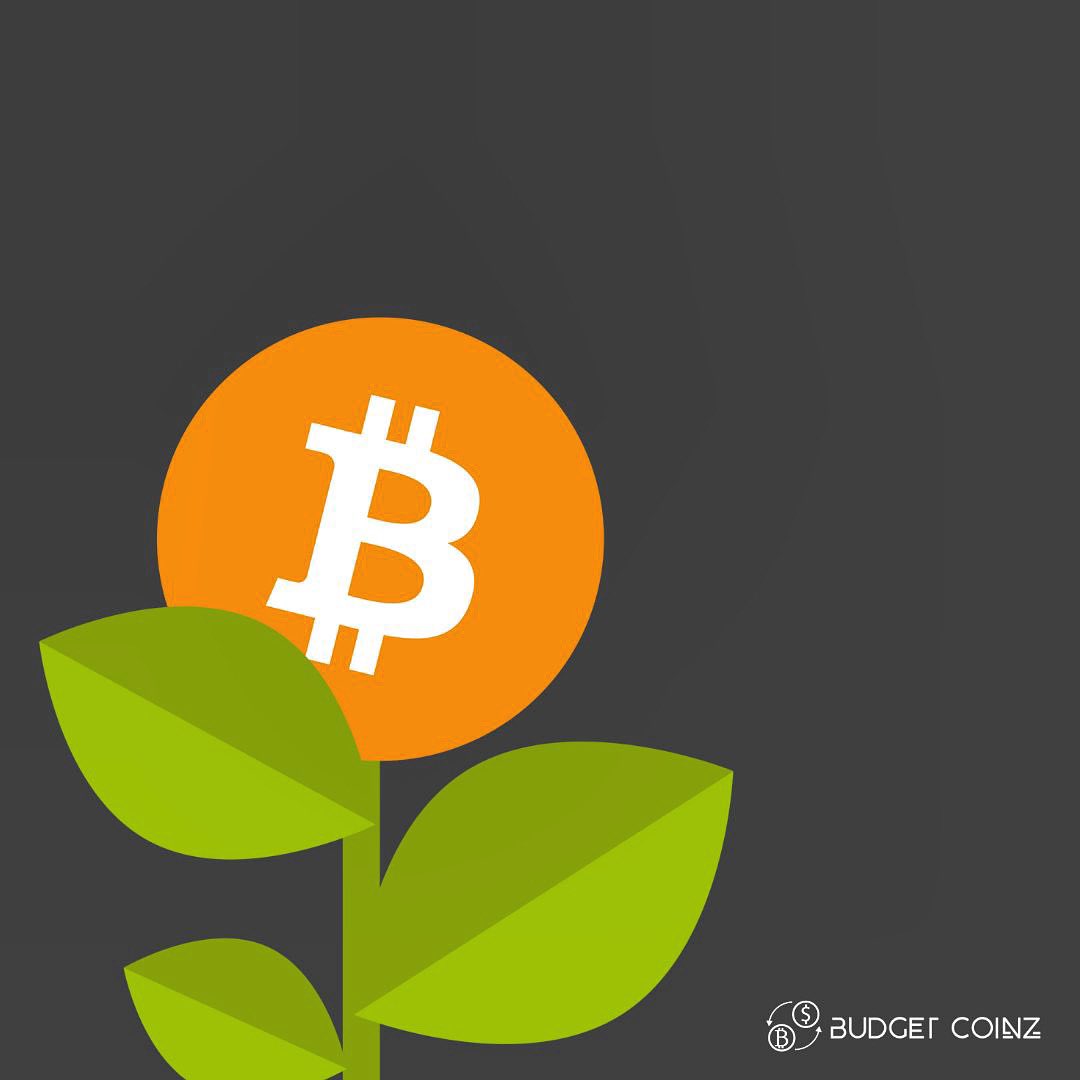 budgetcoinz (@budgetcoinz) / Posts / X