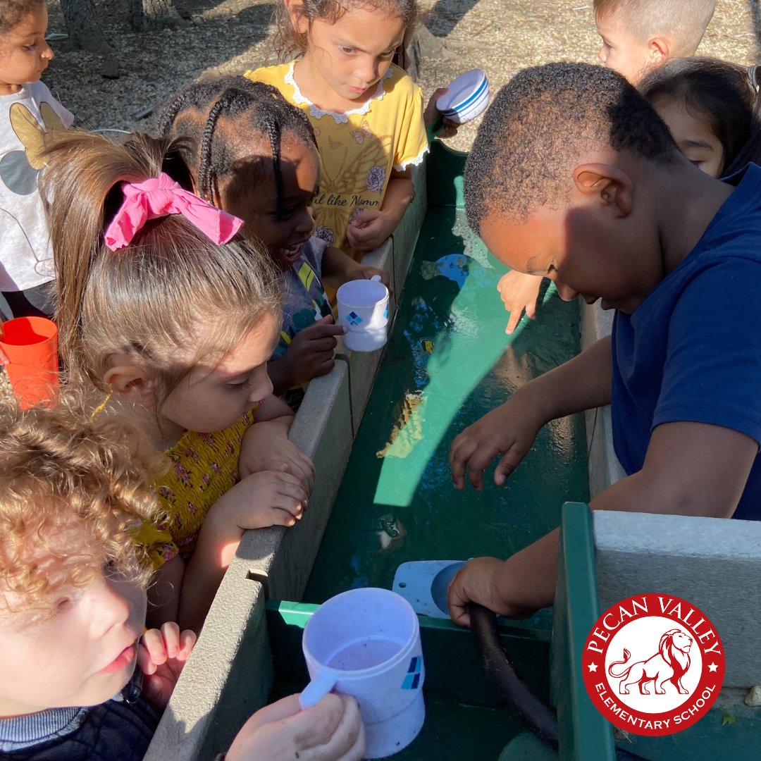 ECISDtweets's tweet photo. Just add water! Pecan Valley Elementary's Pre-K students are excited to use water for their mud kitchen! They also practiced being responsible by waiting their turn to fill their cup. #ECProud! #AllIn #ProudlyUnited https://t.co/wtANk5rmk6
