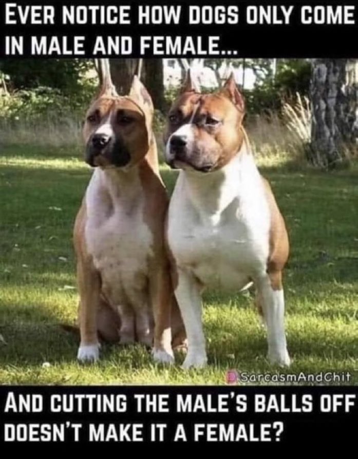 Coffee Anytime (@coffee_anytime) on Twitter photo 