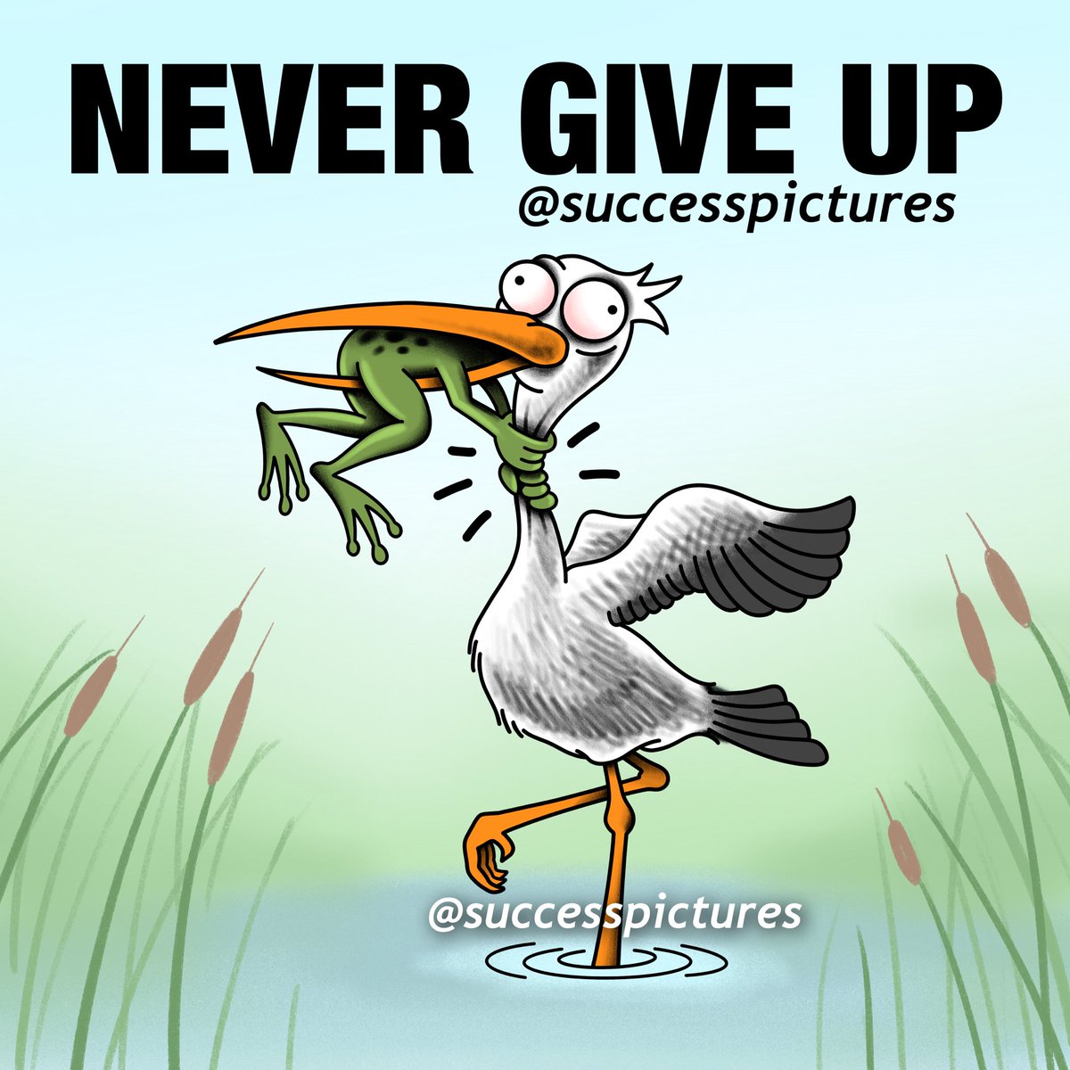 1 picture = 1️⃣0️⃣0️⃣0️⃣ words

Express your thoughts &amp; feelings through us 💙 <a href="/BlueManFamily/">SuccessPictures</a>

#successpictures #bluemanfamily #NeverGiveUp #inspiration