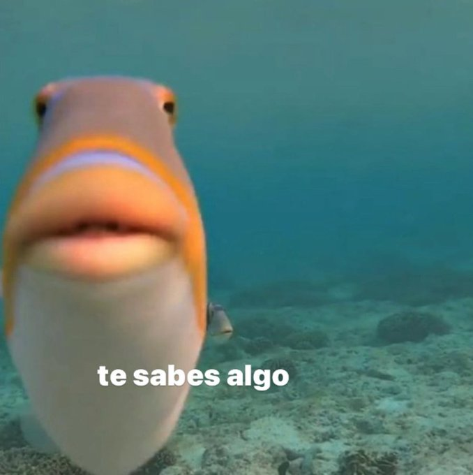 itsD3lay's tweet photo. yo antes del examen: https://t.co/mLtUCUIOJ3