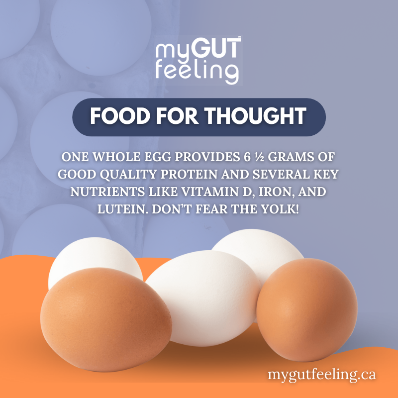 mygutfeelingca's tweet photo. Eggs are a great source of protein and other minerals. Ensure you add them to your next meal. To learn more, visit https://t.co/DsxE5P3Jfw
#StomachCancerAdvocacy #StomachCancerEducation #StomachCancerAwareness #StomachCancerSupport #MyGutFeeling https://t.co/lUkqe6f9d8