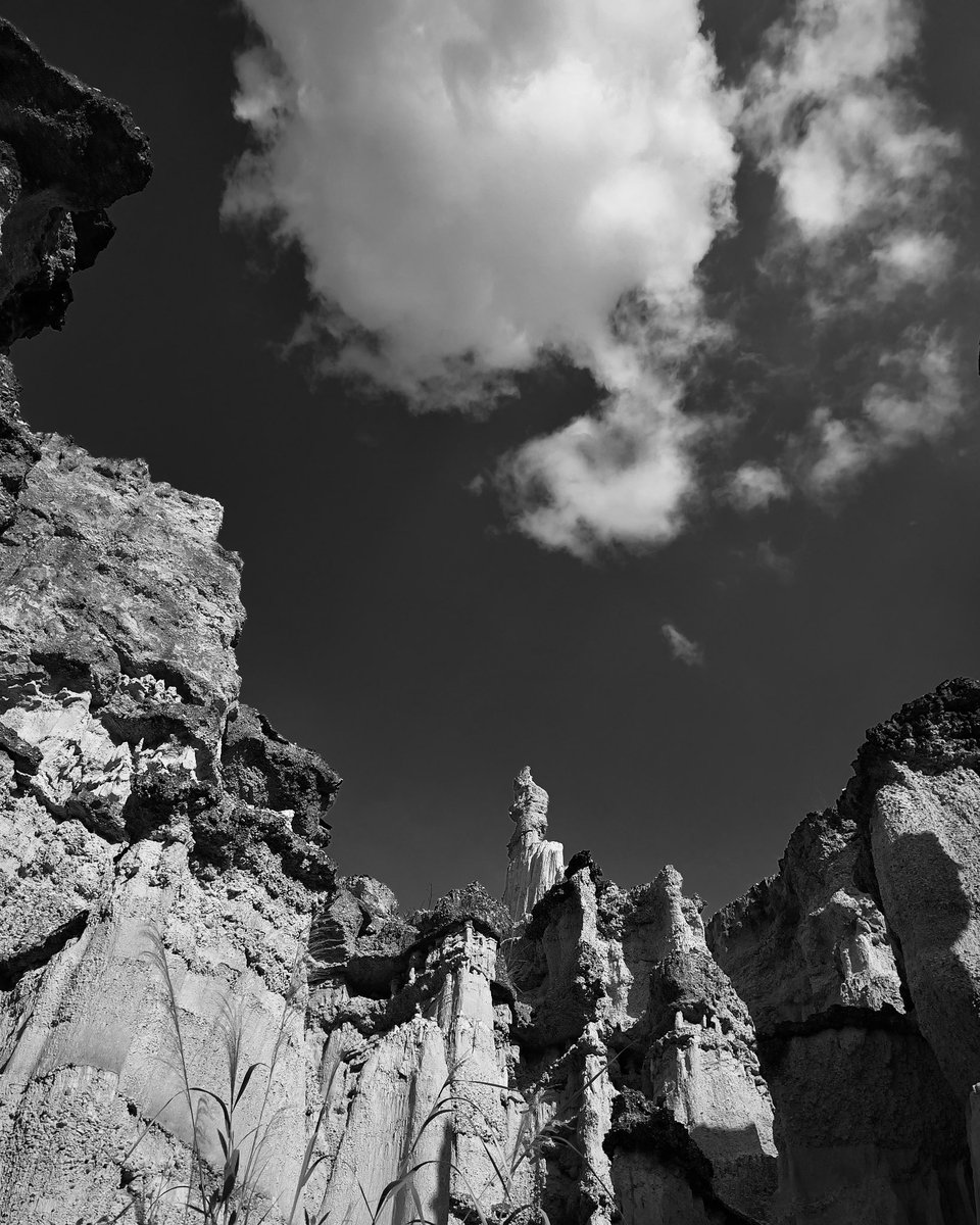pappusrkr's tweet photo. While scouting the location today and photographing with my phone.
#blackandwhitephoto #NaturePhotography #bnwphotography https://t.co/kTvbFWByss