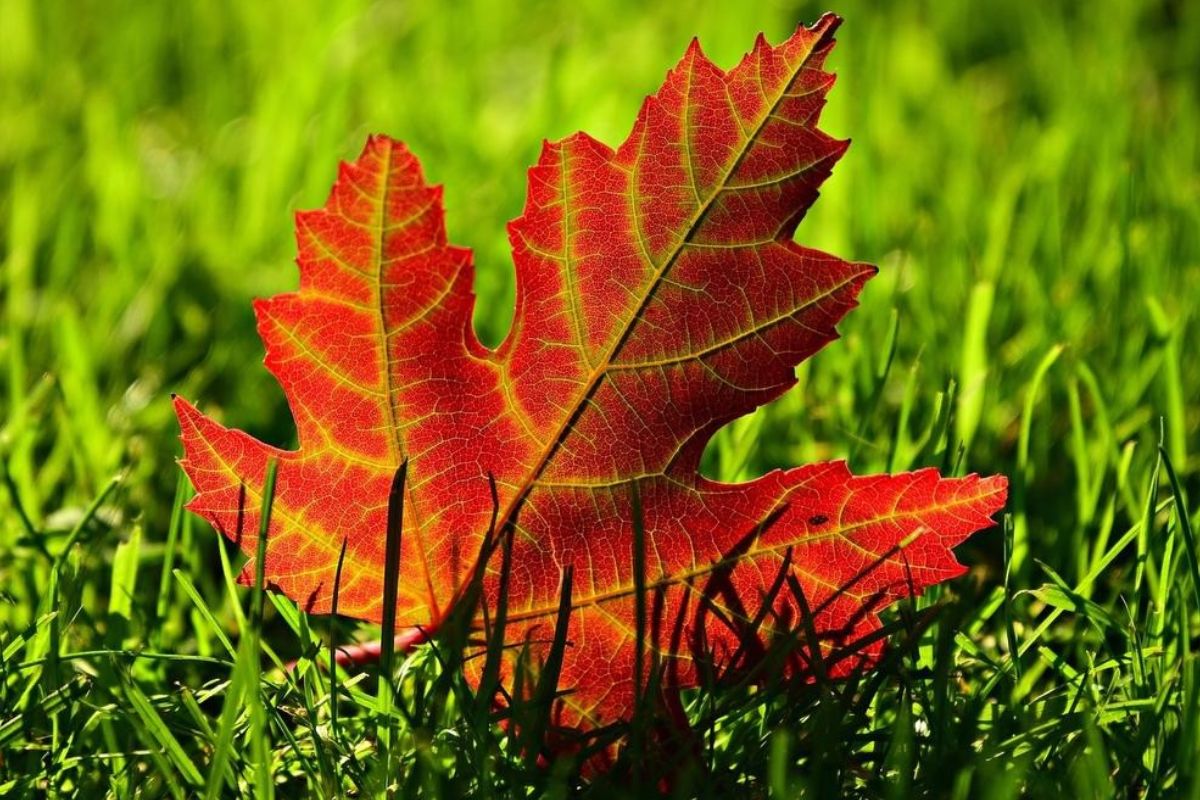 Reminder: de herftsonate van 15 oktober! - mailchi.mp/22d93ee8c038/z…