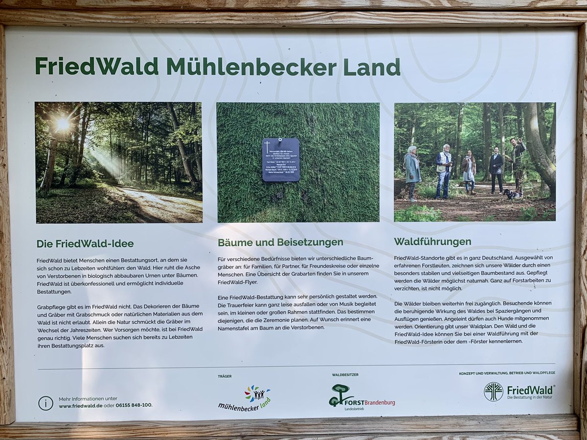 Datenbrake's tweet photo. Heute schon an morgen denken 😌@van_Koch #fckcancer #friedwald https://t.co/S7t90ypq6r