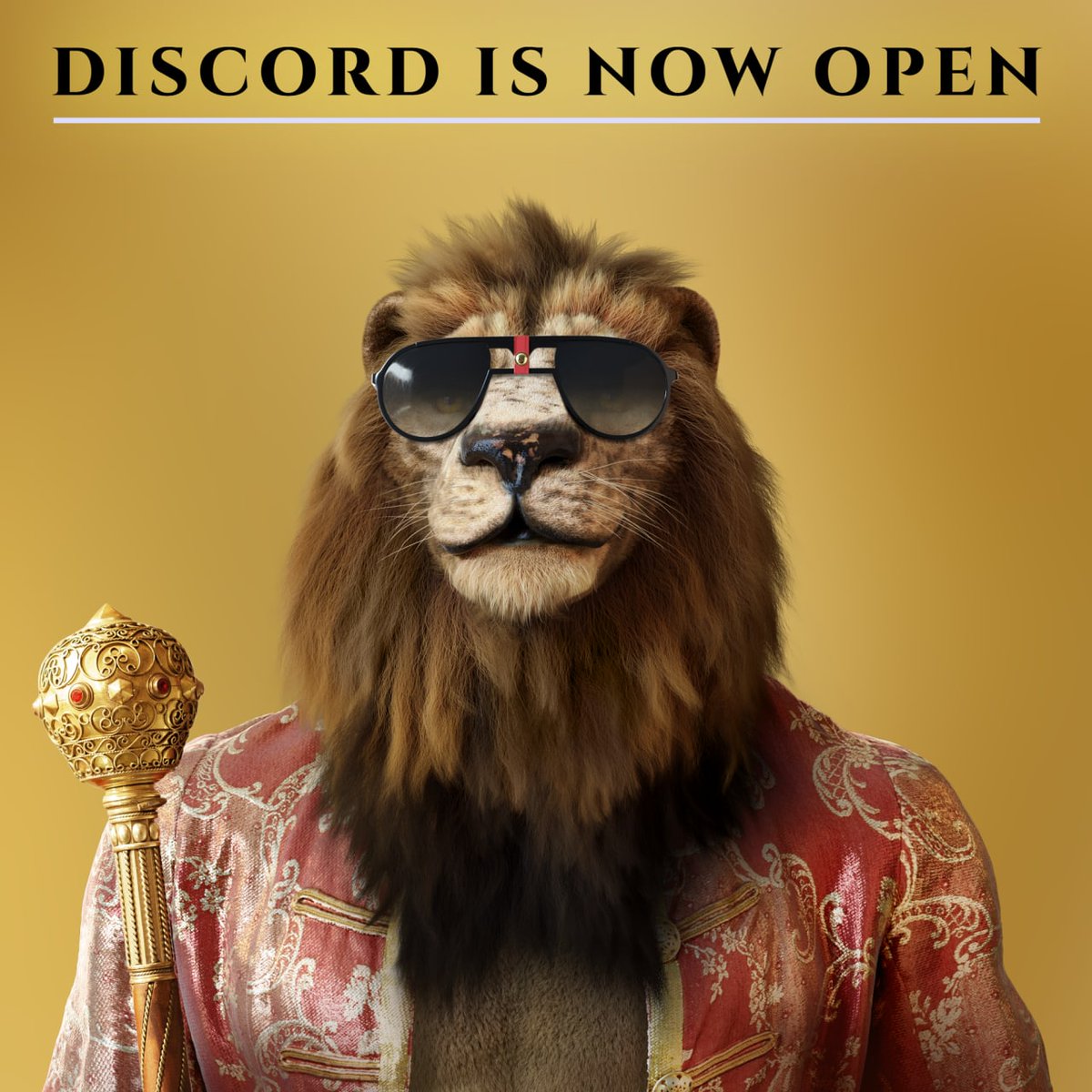 Hey Kings! It's Notorious time. 
discord.gg/X9VdHaQG