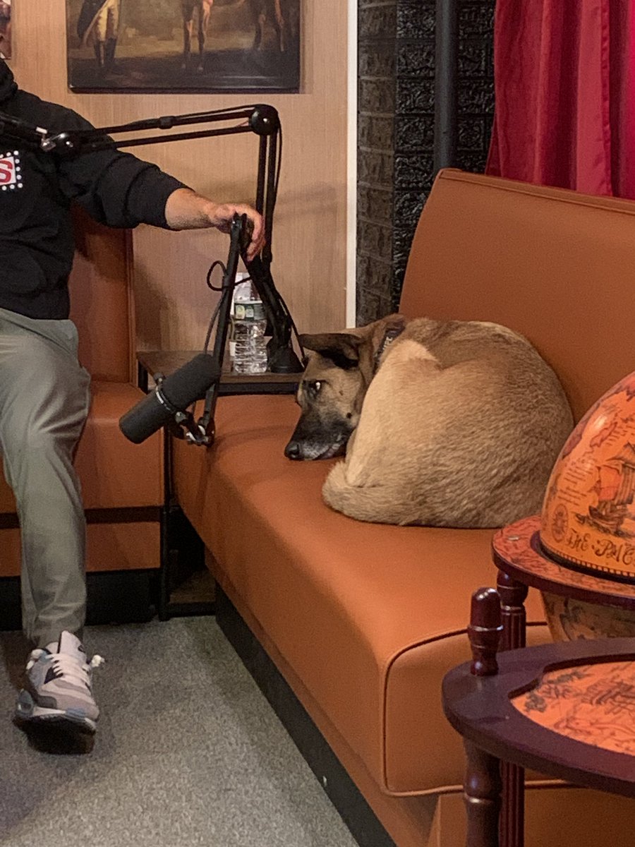 Happy podcast day, here is a picture of a dog doing a podcast. Anyone recognize this dog? 🥳#wemightbedrunk #podcastday #standupcomedy