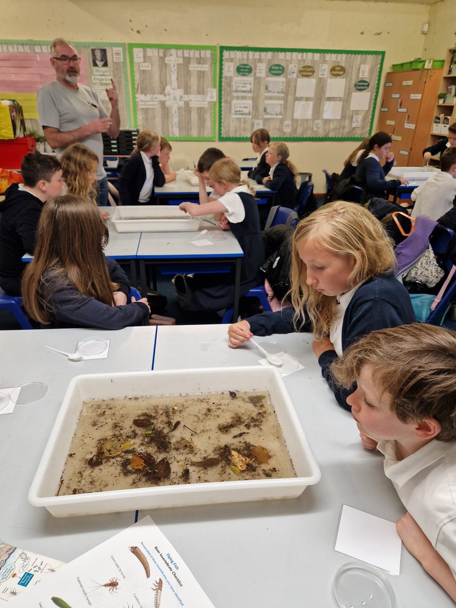 KilbarchanPS's tweet photo. What a day Primary 6 had! The rain didn't stop them from learning all about fish in our local rivers. We loved every minute of it! #determined #STEMRen Thank you,@ClydeRF https://t.co/cNesJ046M2