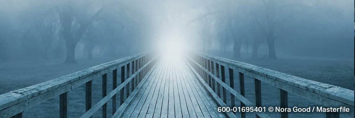 Masterfile's tweet image. Our original fairy tales, gloomy and grim, were long ago sanitized for children. But the fantastical, the supernatural and the spooky are back – for adults – with a vengeance, and with all their dark edges and grittiness restored: buff.ly/3UHuRCd