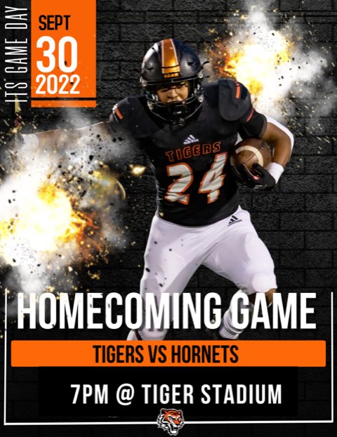 Game Day Tigers!!!!
Photo Credit - @afray_photo