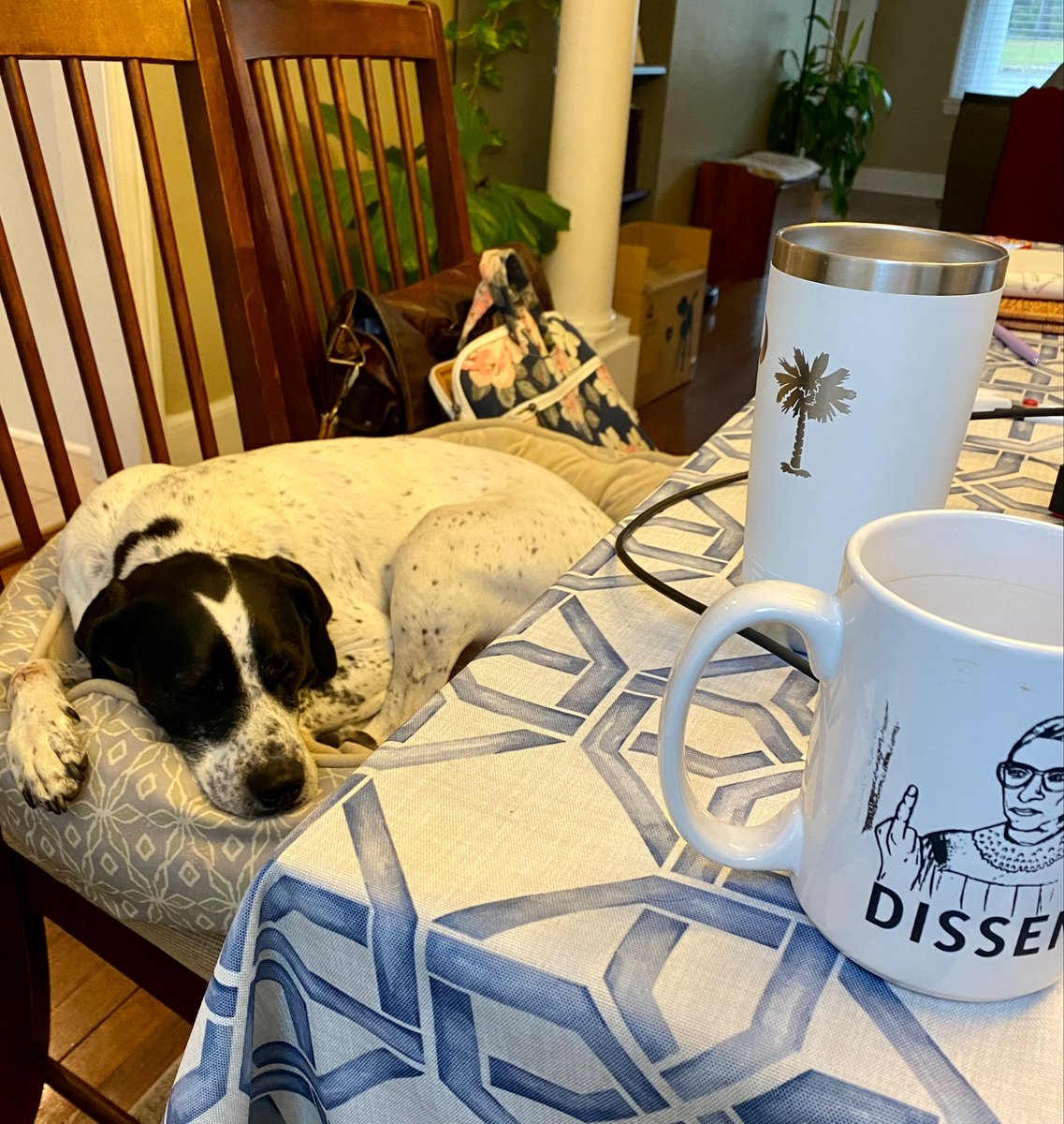 The #legalbeaglebar hopes that all members have a peaceful and productive day, like Duke here!