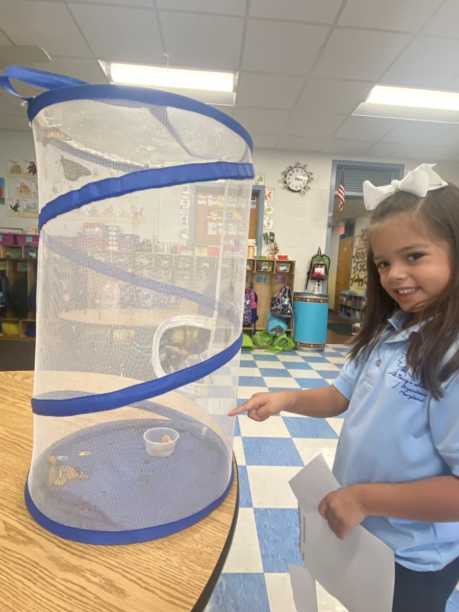 St. Mary's Bryantown tweet media