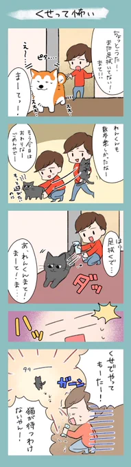 「くせって怖い…」
庭から家に入る時の出来事です!
みんなは間違えた事がないみたいなのですが、私はよくやってしまいます…😅

#漫画が読めるハッシュタグ 
#漫画
#4コマ漫画
#猫
#ペット 