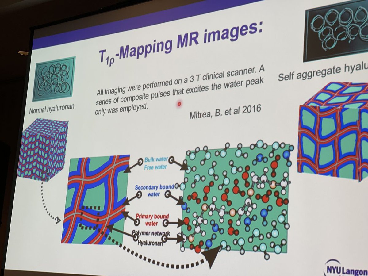 MELT_Method's tweet image. Fascia is more than just a tissue that holds joints in place.

Fascia is an intelligent system.

👉Each cell in your body communicates with the other cells by sending and receiving signals through this fascial matrix called the extracellular matrix.

#meltmethod #fascia