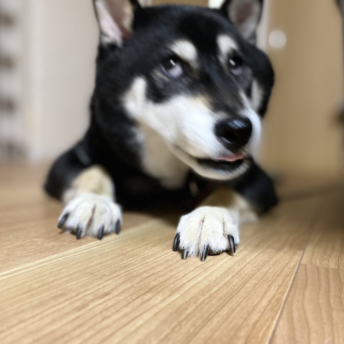 TfRoWraEhVTh9kV's tweet photo. 世界でいちばん大好きだよ〜〜！ https://t.co/iSrXPSKbxD