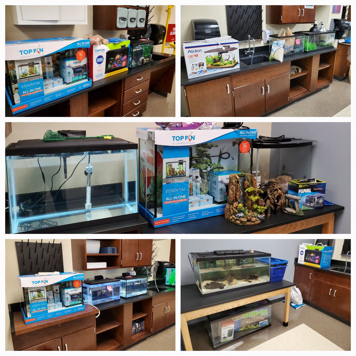 CFHS Aquatics tweet media