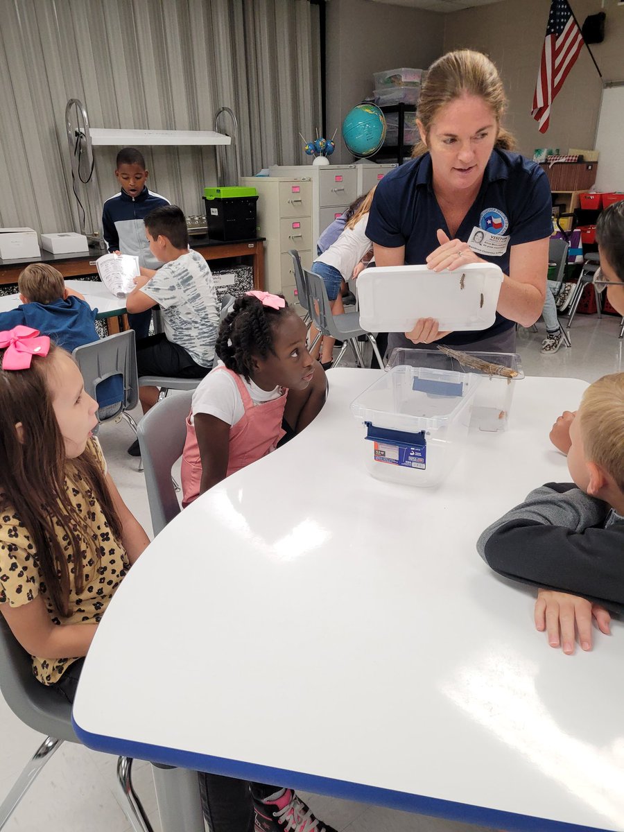 Laura Bull tweet media