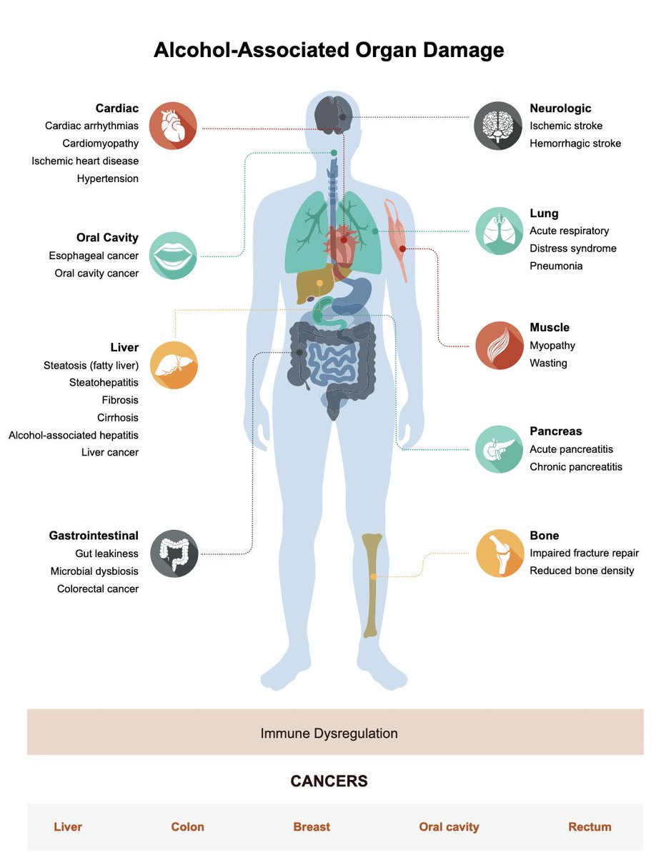 rabataller's tweet photo. Why some patients with excessive alcohol intake develop cirrhosis, others pancreatitis and others hearth problems?
What determines the ORGAN SPECIFICITY ?

🔸Type/pattern of alcohol ? 
🔸Genetics ? 
🔸Exposome ?

#livertwitter #medtwitter https://t.co/VNlR6BnJo2 https://t.co/67YtXEKcB3