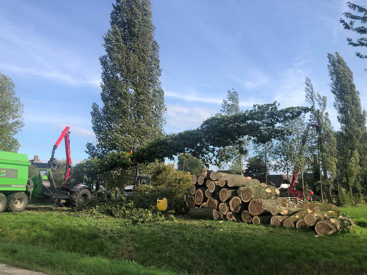 20 populieren aan Zijdewetering Noord met spoed gekapt

ijsselstein20.nl/2022/09/30/20-…