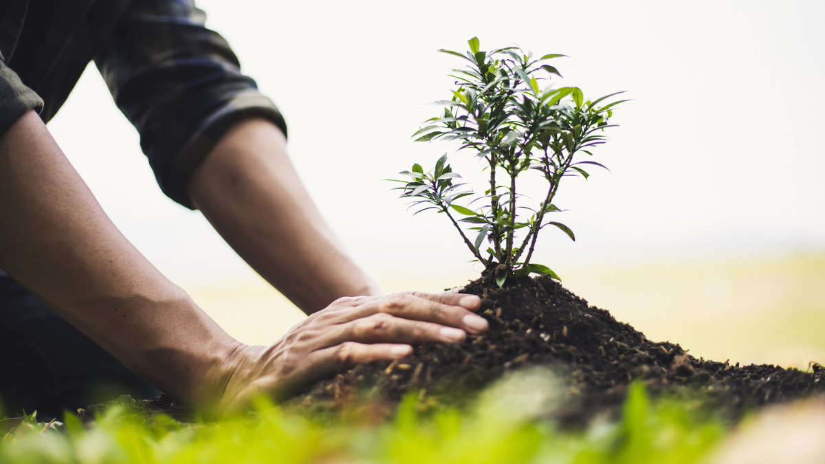 We're heading into another month!🍂 There's lots to be done throughout the autumnal month of #October...
- Plant spring bulbs 
- Plant evergreen shrubs/hedges🍃 
- Rake up fallen leaves
- Cut autumn-fruiting raspberries down to the ground
#gardeningadvice #toptips #loveyourgarden