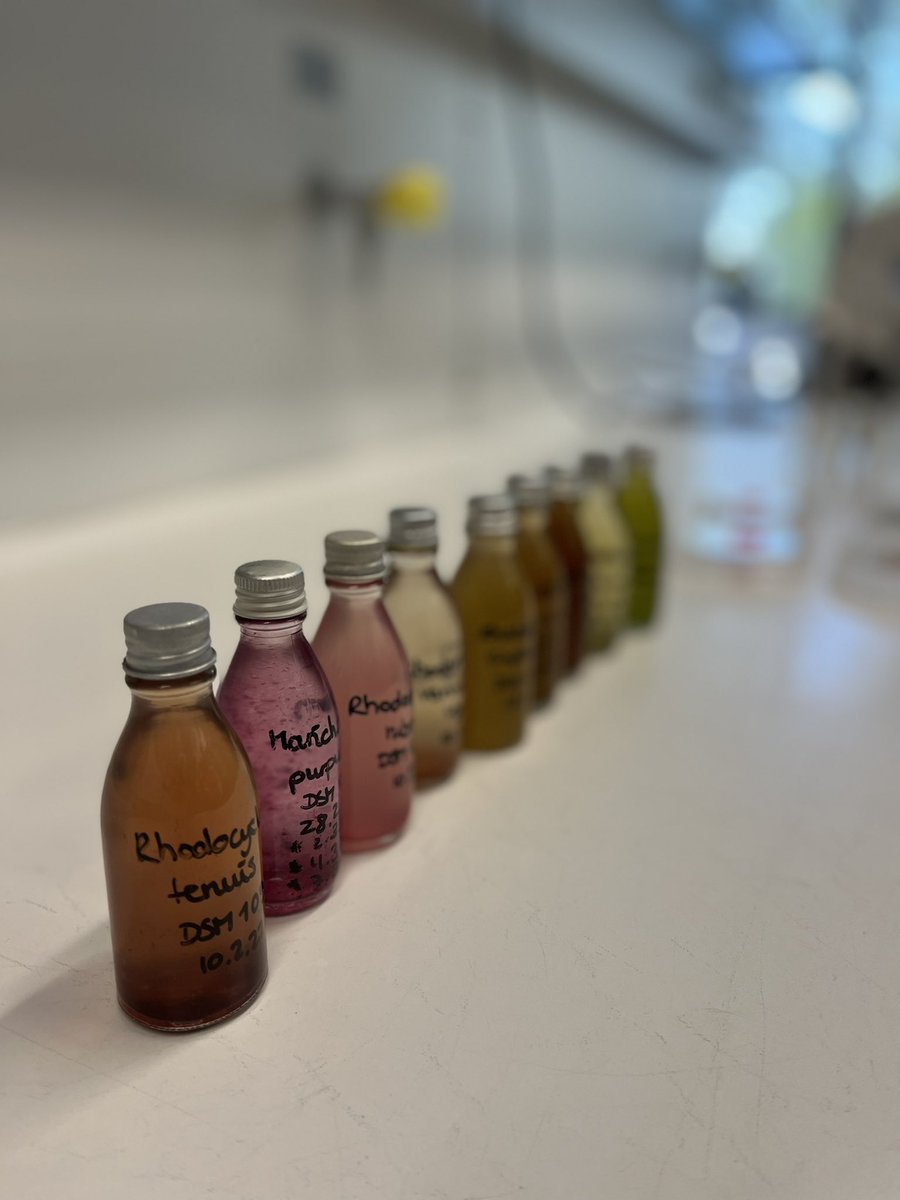 achiarel4's tweet photo. Could not wish a better ending for the #ECCOXL meeting!
Thanks to @Leibniz_DSMZ_en folks for guiding us through a very interesting tour of their institute! https://t.co/oIcBtB88KO