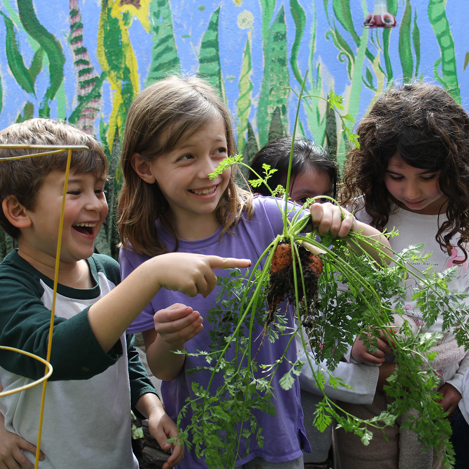 @AustinISD Grant Spotlight: @Kids_Gardening Budding Botanist Grant Helps students learn about plants, explore their world, and inspire them to take care of their local ecosystems. #InvestinAISD Deadline: 10/14/22 Amount: $1,000 Application: kidsgardening.org/grant-opportun…