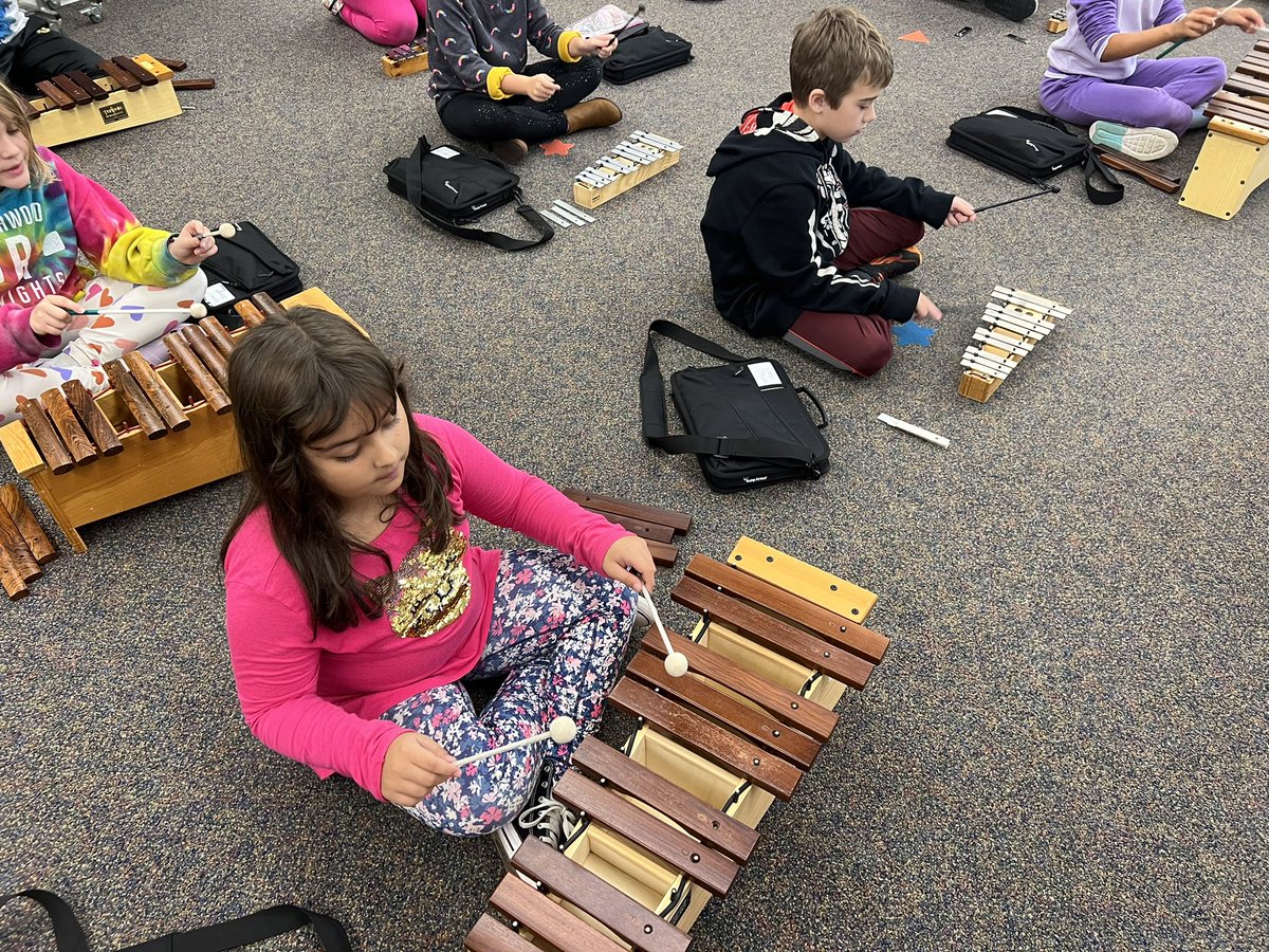 angelakperrine's tweet photo. Third graders playing the pentatonic scale on xylophones at Rushwood!  @RushwoodPrin https://t.co/KzmfAJvHJZ