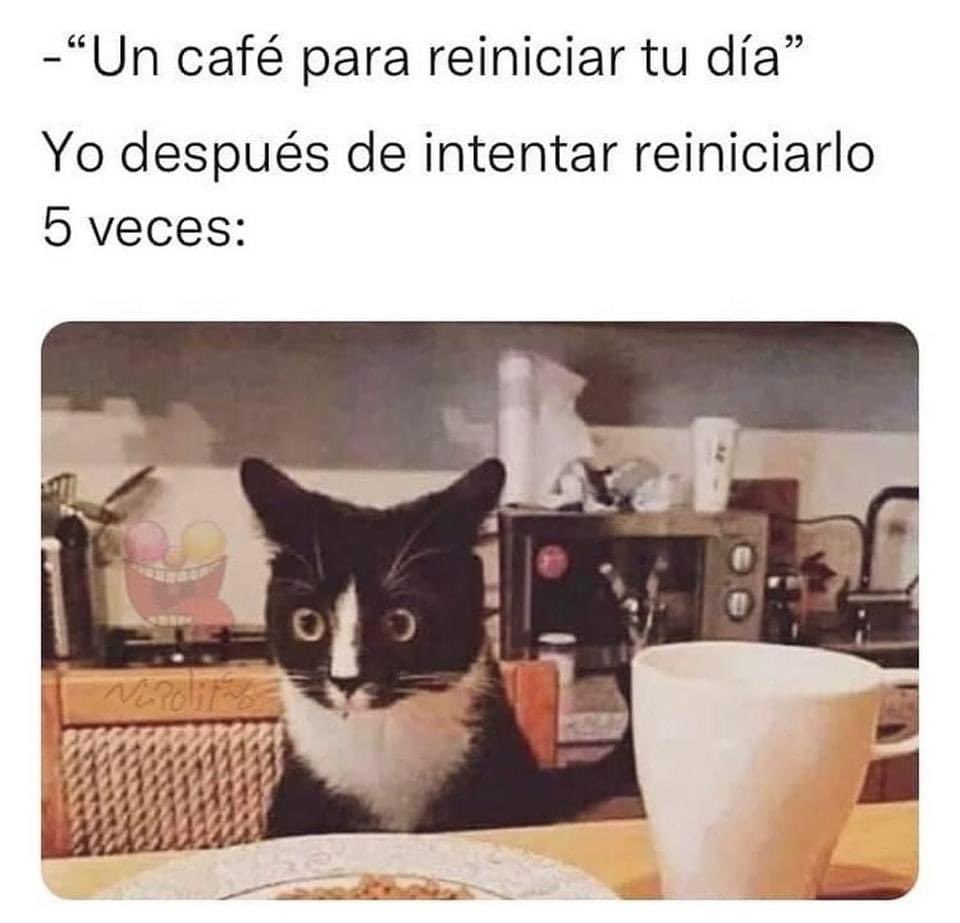 guzman0513's tweet photo. 😂 https://t.co/MXJ2p3UuKC