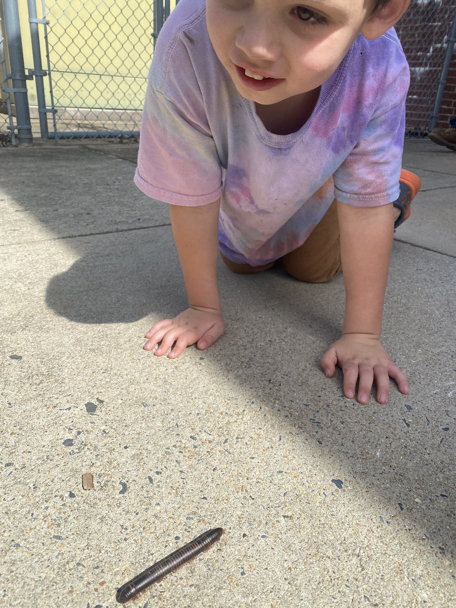 baileybmoran's tweet photo. We love exploring outside and making new friends 😎 #wearecucps #cces https://t.co/oN98JEDq1Y