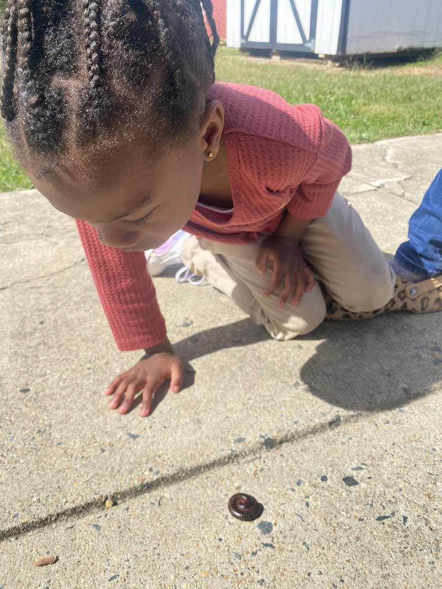 baileybmoran's tweet photo. We love exploring outside and making new friends 😎 #wearecucps #cces https://t.co/oN98JEDq1Y
