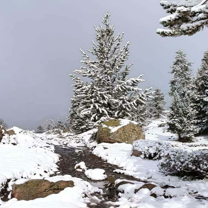 montana_segura's tweet photo. Fotos de este último día de septiembre en el Forau y Plan d'Aiguallut, #Benasque. 
Un poco de frío y el silencio de la nevada para "compensar" tanto calor del verano...
El otoño, como suele ser normal, traerá un poco de todo. ❄️🍁☀️💨🍄 
¡Y gracias #AnaCampo por las fotos! ❤️❤️ https://t.co/TbYagngRoR