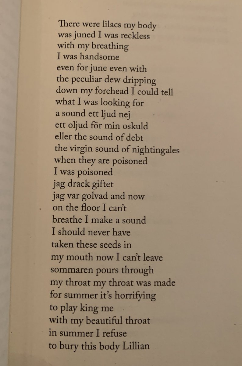 today’s obsession: Summer by Johannes Göransson from Tarpaulin Sky Press @JohannesGoranss <a href="/TarpaulinSky/">Tarpaulin Sky Press</a> #Summer #JohannesGöransson