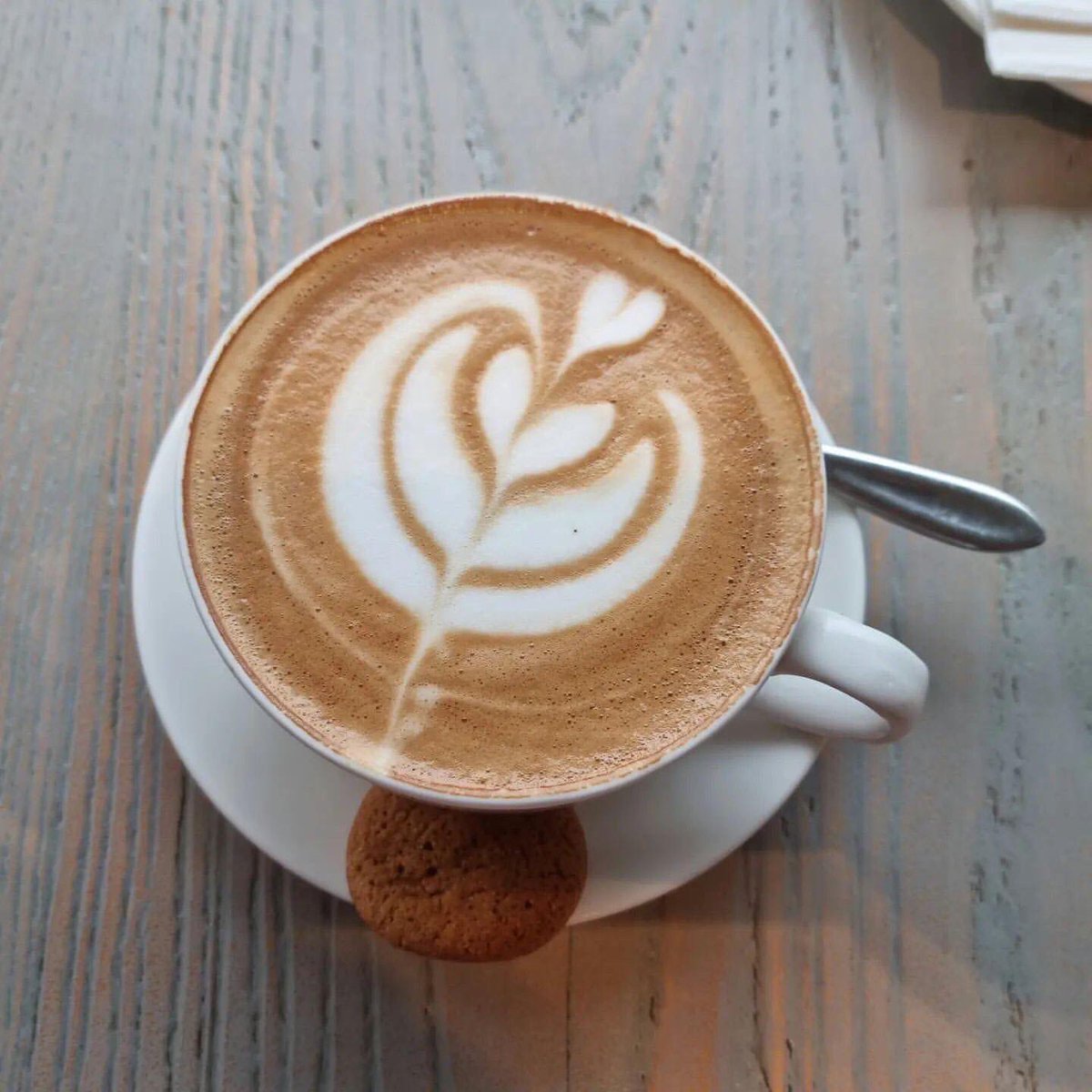 CJs__256's tweet photo. We don’t need an inspirational quote. We need a coffee ☕️🤤
Photo credit: @naomynimmoh IG
#cjs
#cjscoffee
#cappuccino
#perfecteddrinks https://t.co/NEf4ubFoD8
