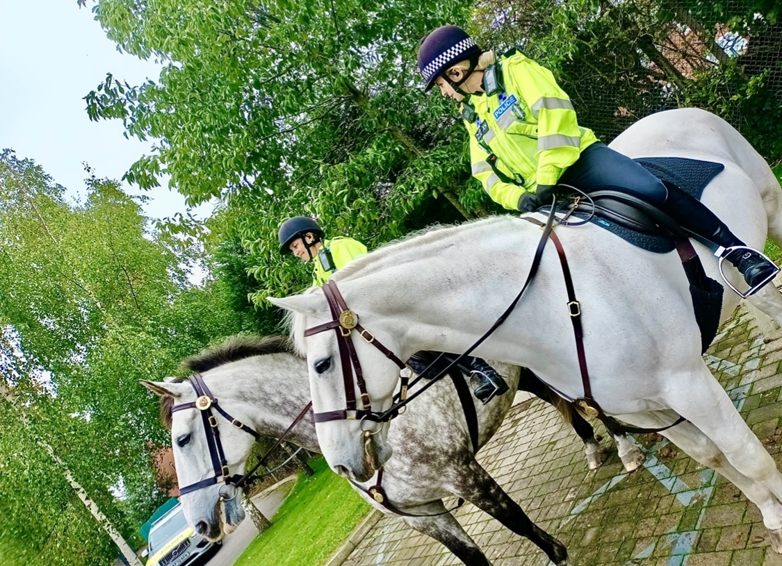 GMP Tactical Mounted Unit tweet media
