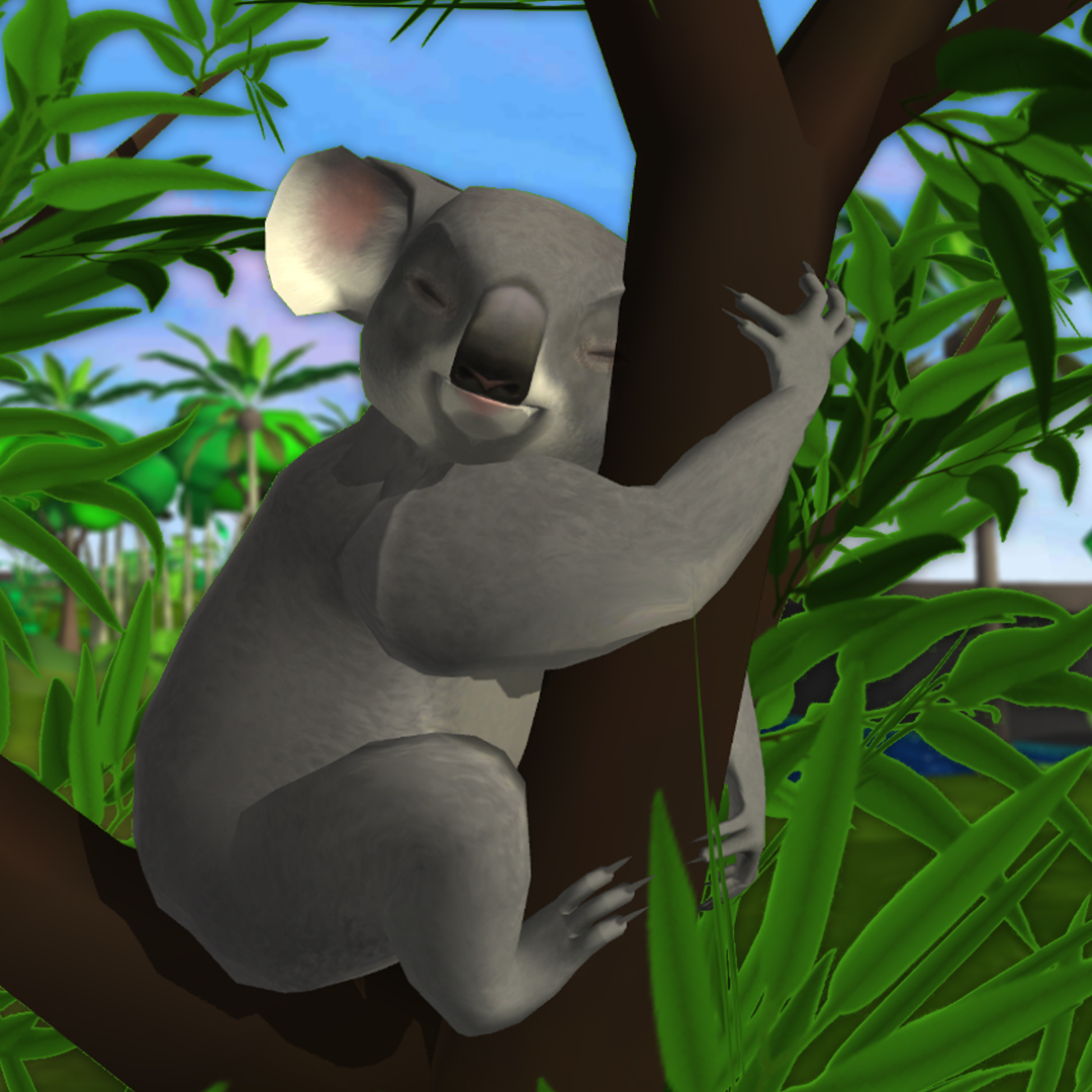 National Zoo on Twitter "September is ending & it's the koala's last