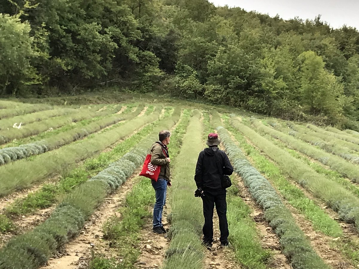 pboncio's tweet photo. #PATA2022 is going to end with a very nice field trip to the fault of the 2019 Le Teil Eq… with exciting discussion on NvsR fault. Thanks Jef and @Stef_EQ_Geology! https://t.co/pnjWOZAScE