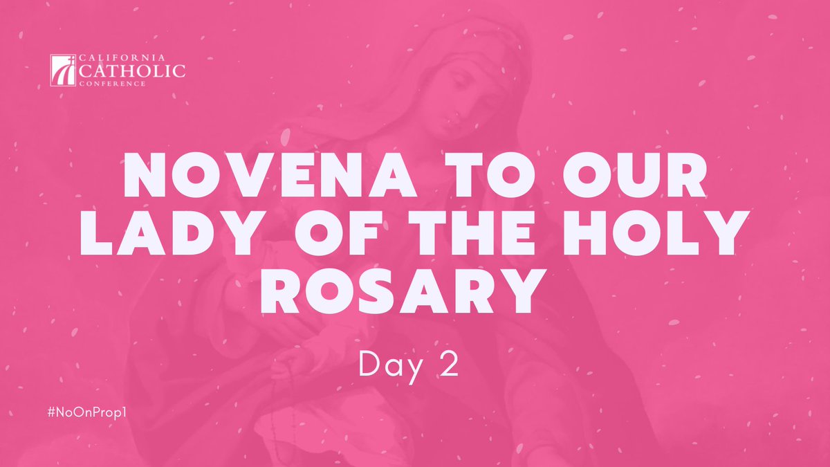 PRAY: 9-Day-Novena to Defeat Proposition 1 | DAY 2: On the Feast of Saint Jerome -  We pray the 3rd Joyful Mystery, The Nativity

Pray and Reflect with Bishop Jaime Soto, Diocese of Sacramento 
cacatholic.org/novena

#NoOnProp1 #Proposition1 #California