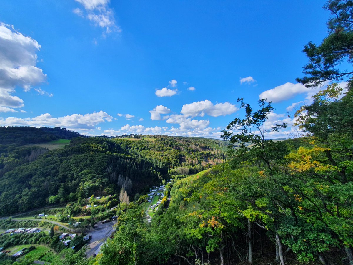 caledonian83's tweet photo. Heute mal ne Tour in der Eifel. Traumpfad Heidehimmel Volkesfeld. #hiking #Eifel #traumpfad #rlp https://t.co/f1f0vfAJtd