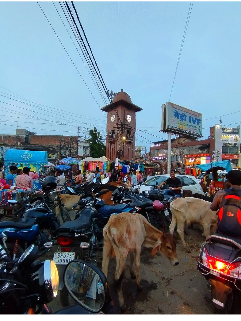 WDarbhanga's tweet photo. ये दरभंगा शहर का केंद्र कहा जाने वाला दरभंगा टावर चौक है या free पार्किंग है दरभंगा शहर का??????
@darbhanga_dm @sanjay_saraogi @gopaljeebjp @bisnujha @manikantjhaair https://t.co/Bq3rfmcvUp