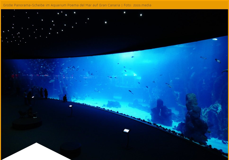 zoos.media on Twitter "Zoos & aquariums regularly set a precedent as