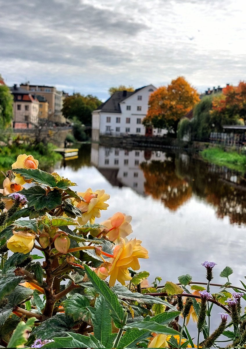 detroniserad's tweet photo. Trevlig helg från ett Uppsala i höstskrud 🧡
#höstpåminplanet https://t.co/QrAYRuzsPo