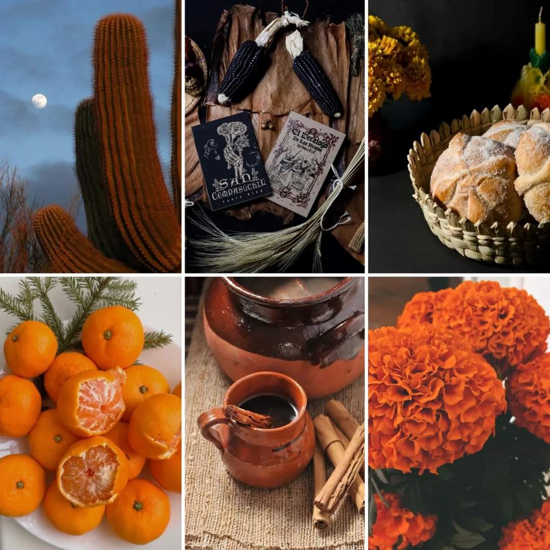 Halloweenus6's tweet photo. Otoño MEXICANO https://t.co/EmBSDTHUZT