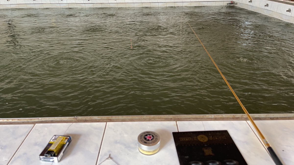 跟老闆請了半天假
想看看到底可以多蝦🦐🦐🦐