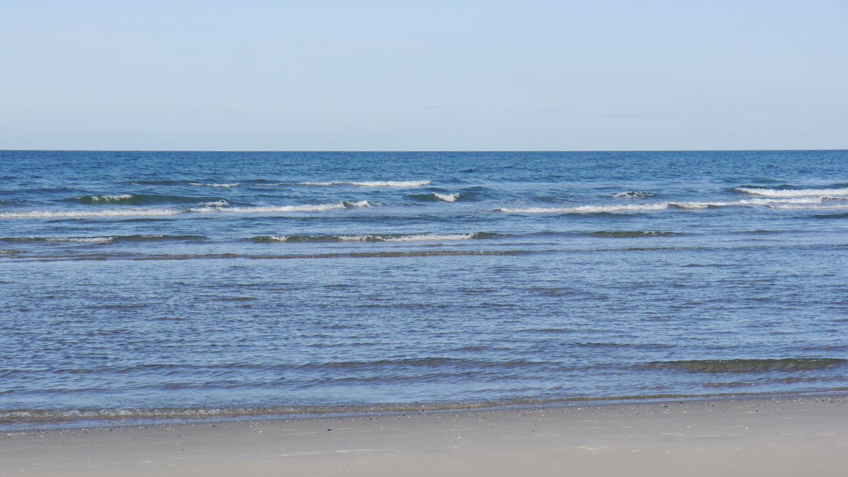 In Ecuador #ArtisanalFisheries over 200,000🦈 &amp; 40,000 seaturtles are accidentally caught per year. Including endangered species like
🦈oceanic whitetip
🦈mako
leatherback 🐢
hawksbill 🐢

Our project aims to reduce #bycatch &amp; support livelihoods in these #fishing communities.